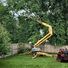 Best Emergency Tree Removal  in Soda Springs, ID