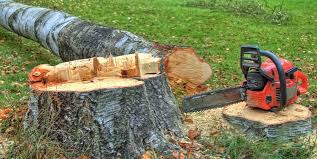 Best Firewood Processing and Delivery  in Soda Springs, ID